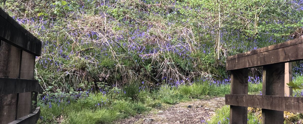 Balliemeanoch Baggage